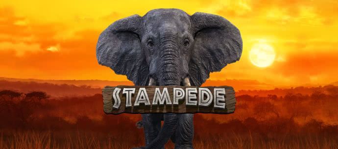 Elephant sunset Stampede slot game animal themed games mrq online slot online mobile casino